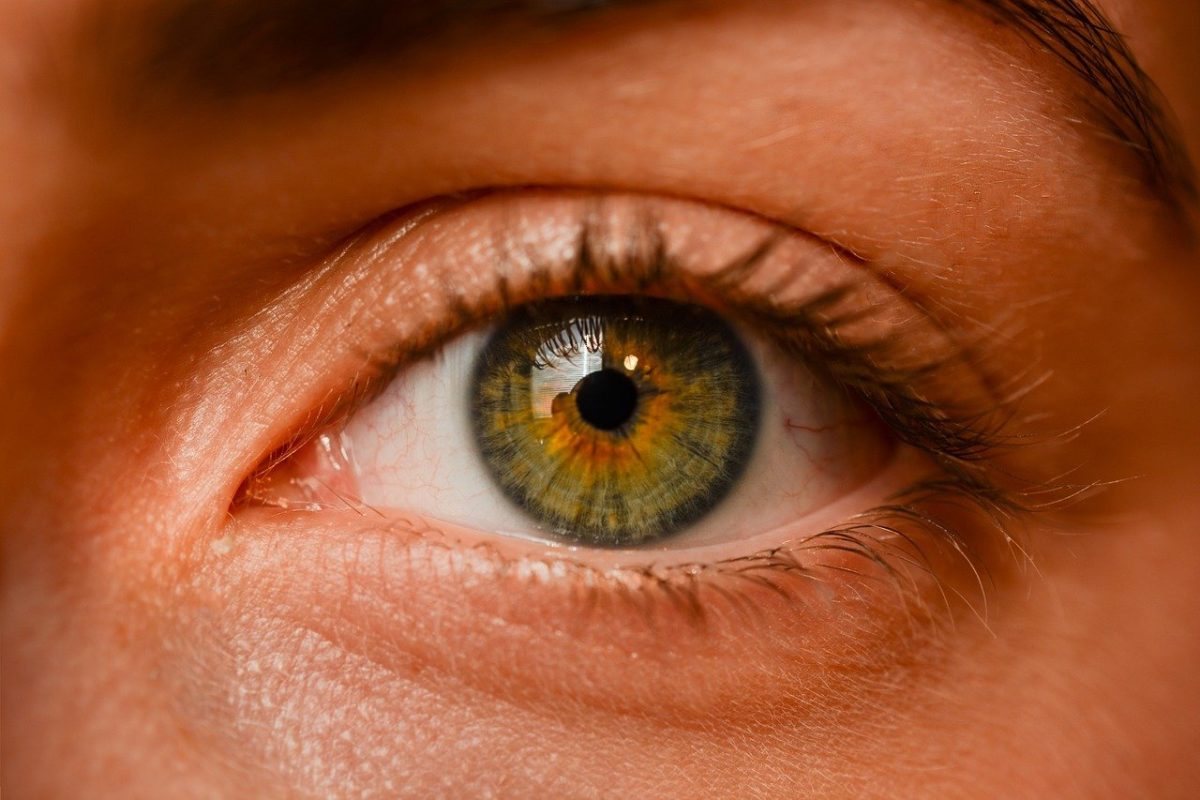 Oczy to szczególny organ. To dokładnie dzięki nim rozróżniamy.